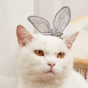 🐈 Adorable Kitty Cat Lace Ribbon Bow Kitty Cat Hair Clip 🐈